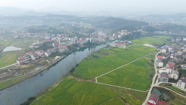 湖南娄底,和美,乡村,油菜花