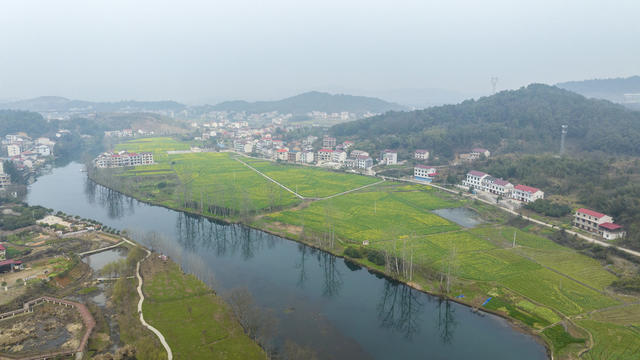 湖南娄底,和美,乡村,油菜花