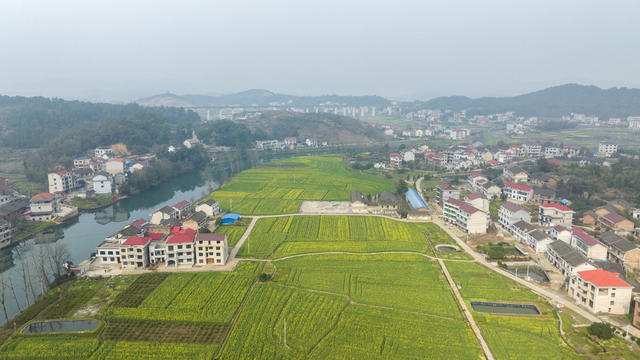 湖南娄底,和美,乡村,油菜花