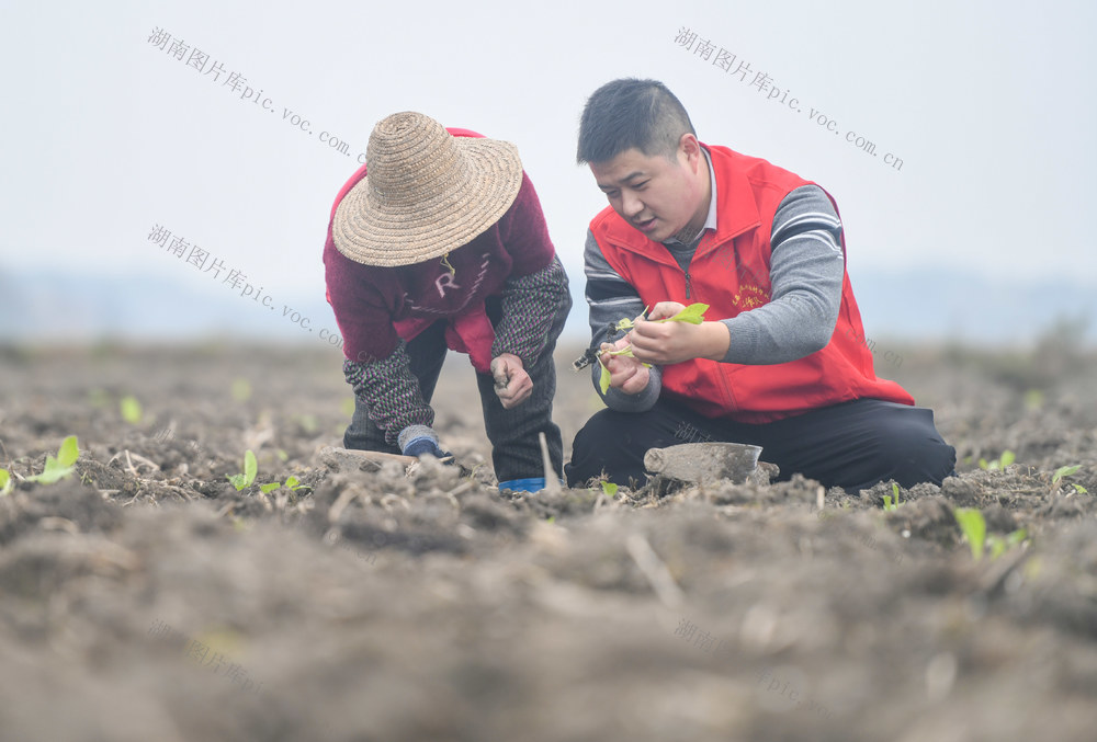 驻村工作队
乡村振兴
增收
道县
