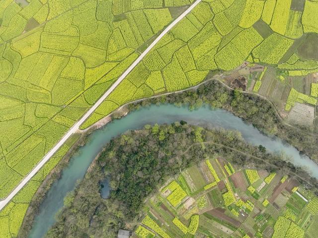 油菜花
春天
春耕
田园