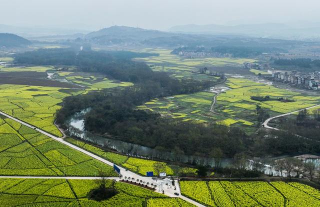 油菜花
春天
春耕
田园