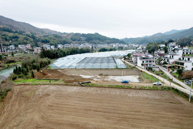 湖南桂东 田地  耕 群众