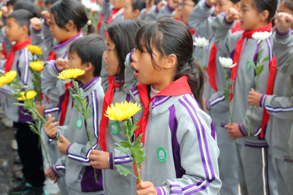 清明寄哀思，英烈永铭记。