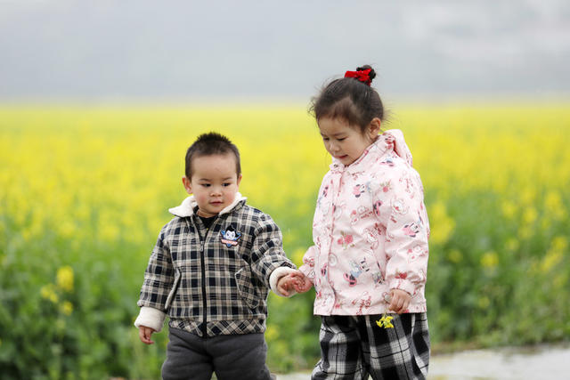 春暖花开 油菜花 春色如画 乡村旅游 乡村振兴