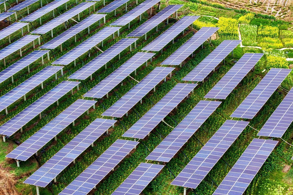 光伏、农业、一地双收、新能源、乡村产业