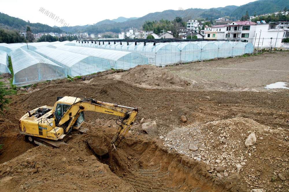 湖南桂东 田地  耕 群众