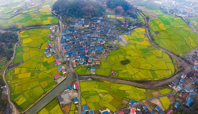 农村  古村落   油菜花   生态旅游   怀化中方