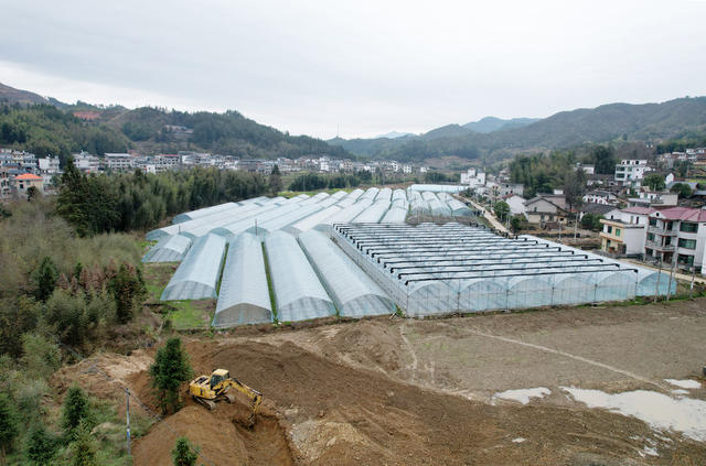 湖南桂东 田地  耕 群众
