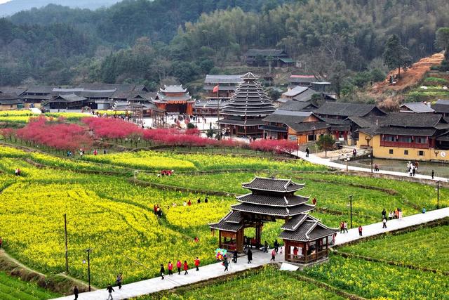 春天、花、乡村、旅游、景色