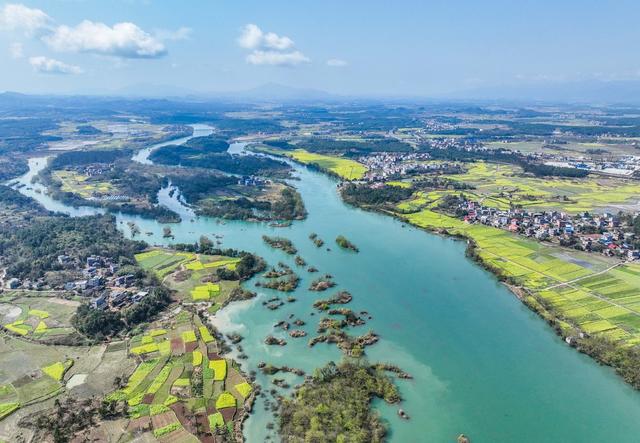 春天
景明
油菜花
道县
春色