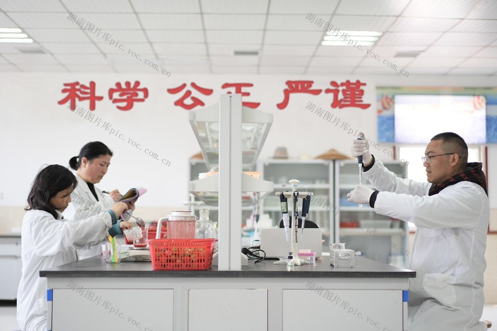 安全 实验室 技术人员 蔬菜 水果 采样检测 居民 游客