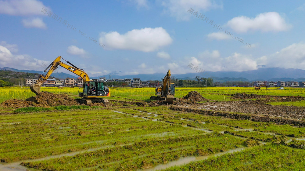 高标准农田  农业  农村