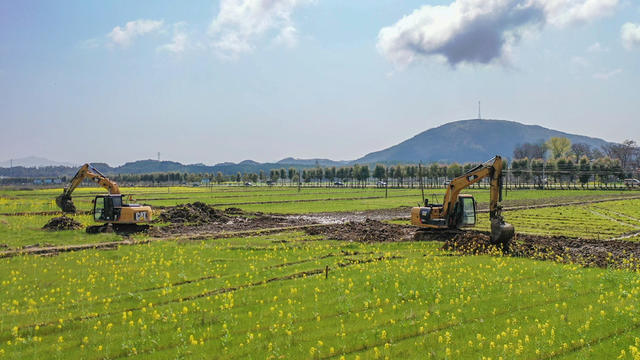 高标准农田  农业  农村