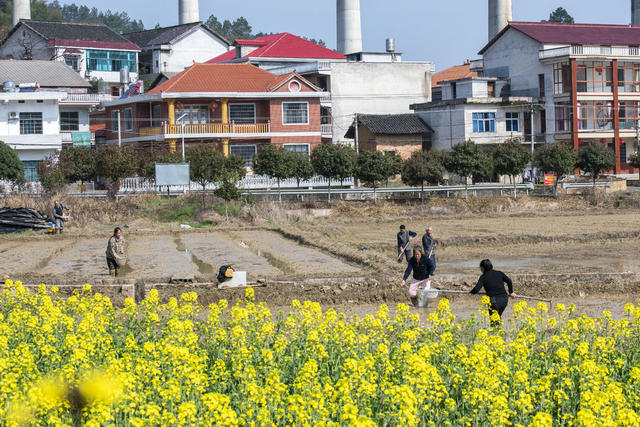 湖南 春耕备耕 农事 农民 农业