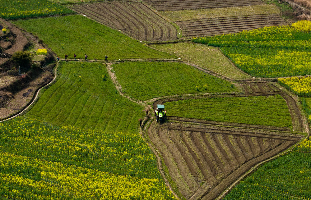 农村  春耕  怀化  沅陵