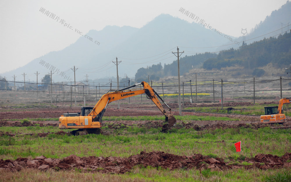 高标准农田 春耕 