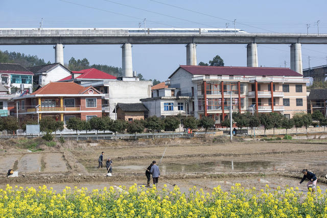 湖南 春耕备耕 农事 农民 农业
