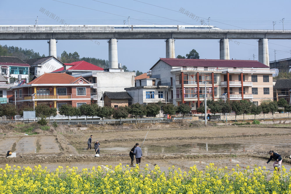 湖南 春耕备耕 农事 农民 农业