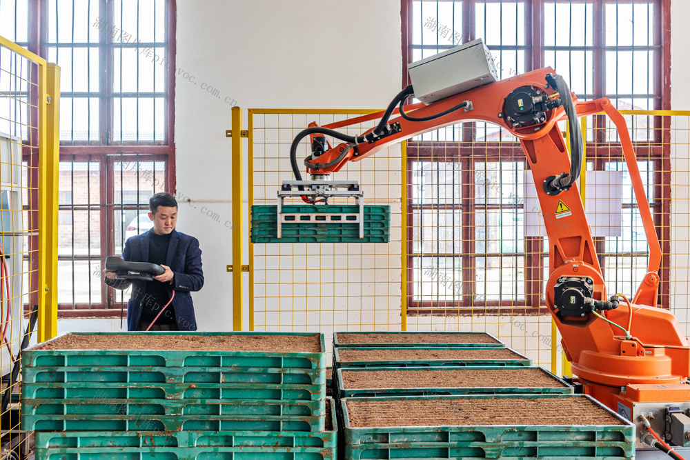 粮食生产  早稻育秧  机能化