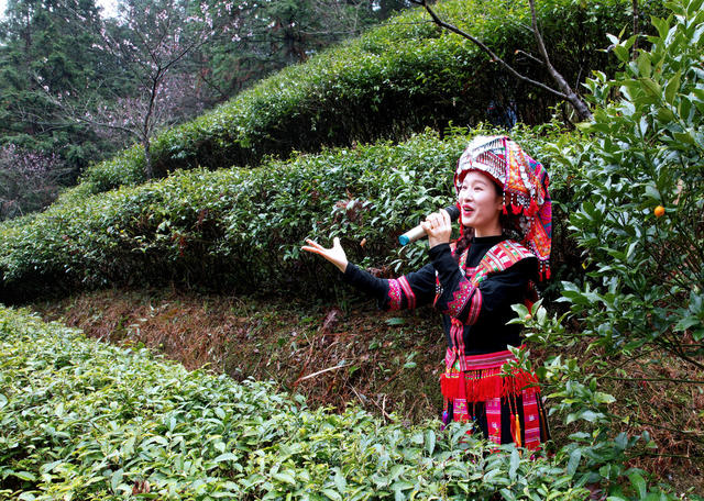 湖南桂东 玲珑茶 茶农 神农雕塑 祈福 园