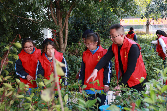 植树节 小学生 植树活动 