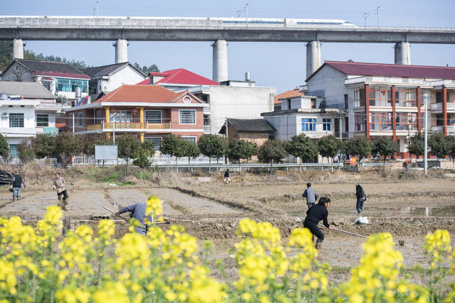 湖南 春耕备耕 农事 农民 农业