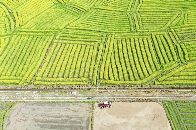 春耕 农业 田间 农忙 农机 犁田 田园