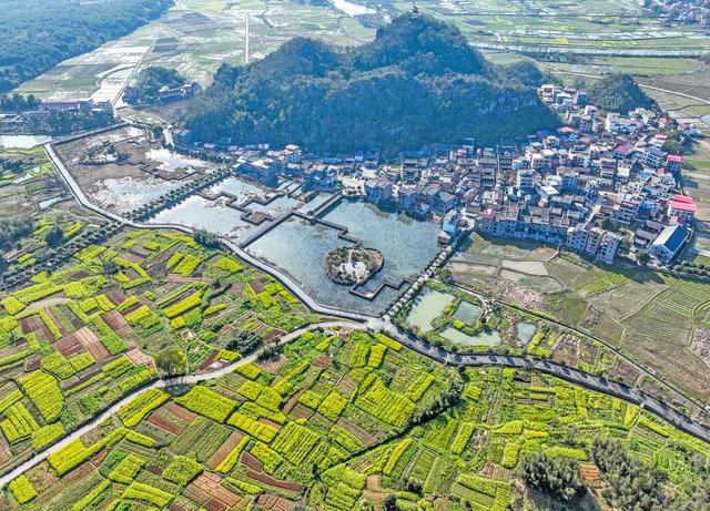 春日
油菜花
安居工程
四好农村公路
道县
