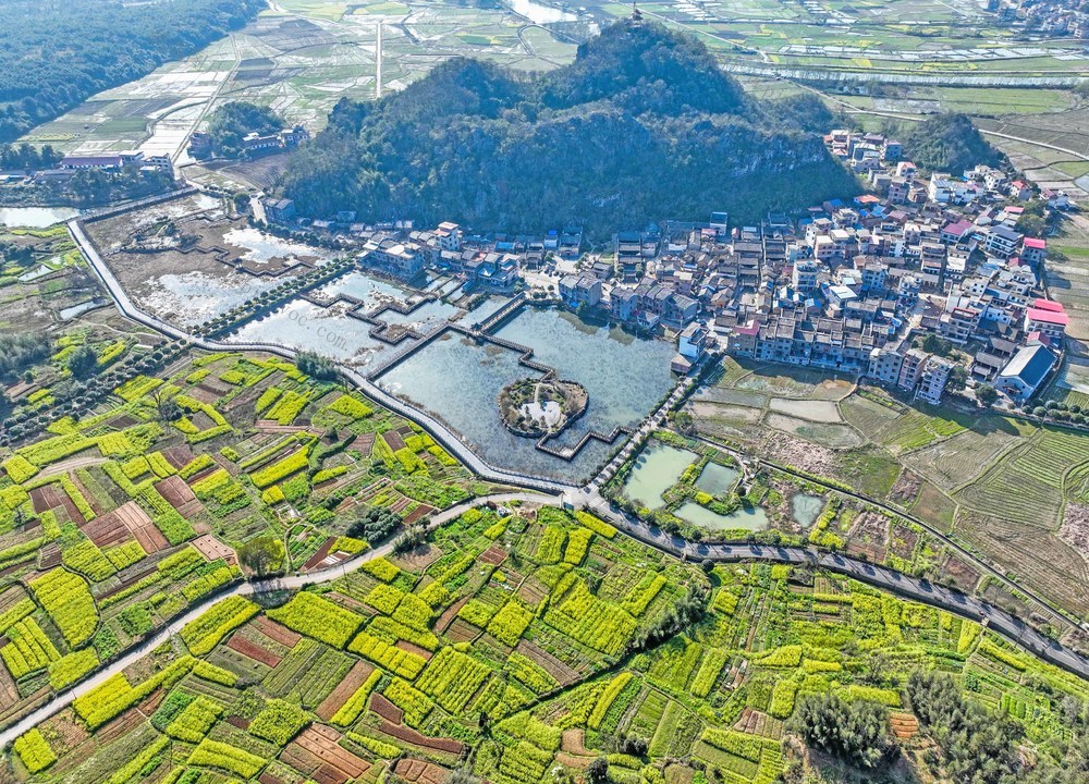 春日
油菜花
安居工程
四好农村公路
道县
