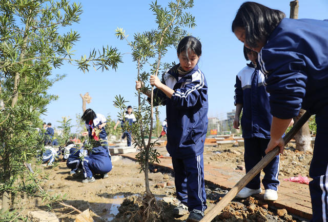 植树
学生