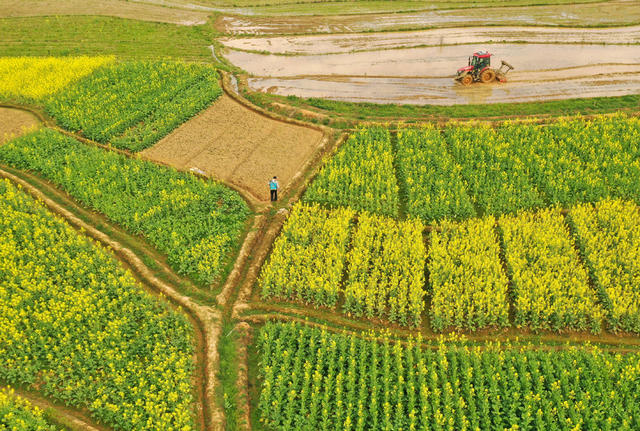 春耕 农事  衡东