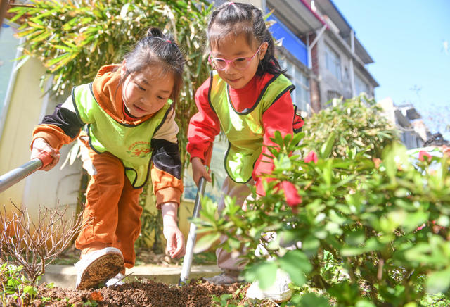 植树节
幼儿园
道县