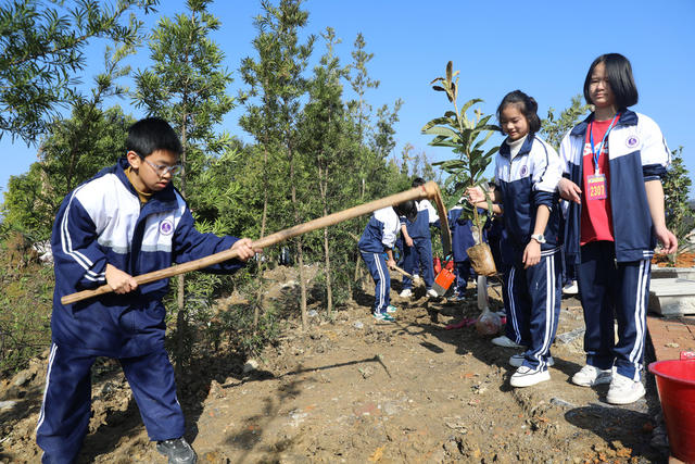 植树
学生