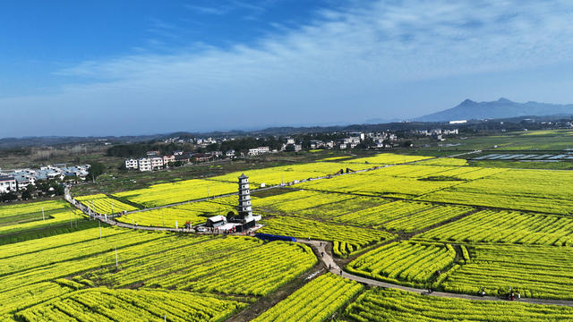 湖南  郴州市  苏仙区 村头村 
 油菜花  栖凤渡镇   黄建华 