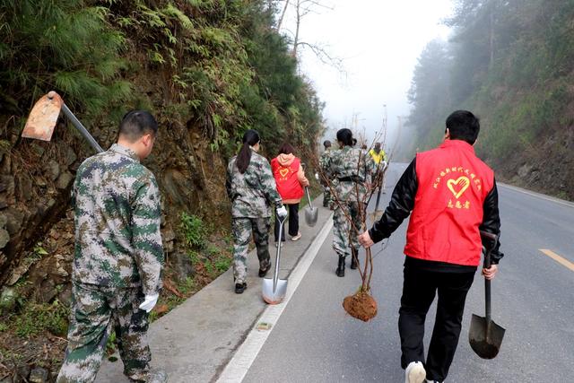 植树节
红枫
映山红
幸福家园