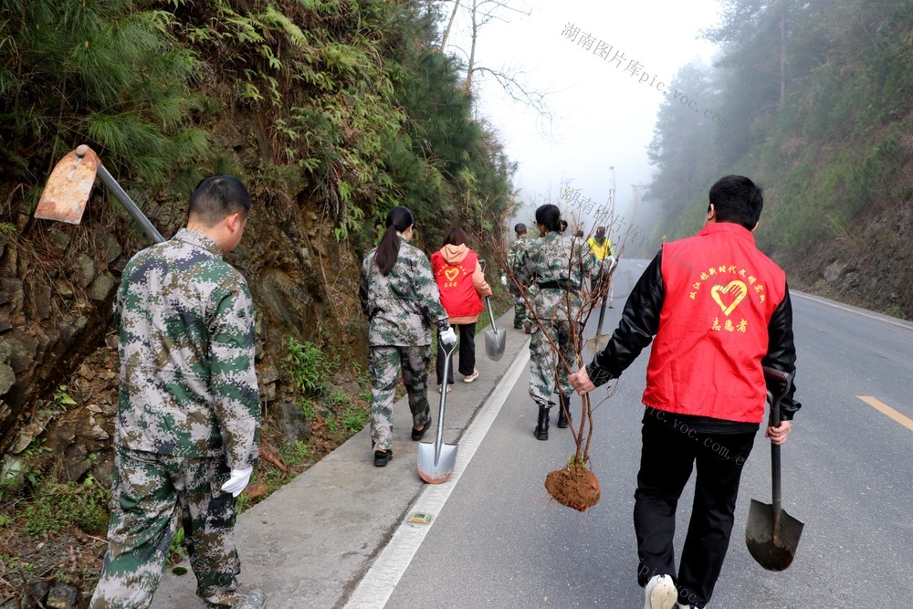 植树节
红枫
映山红
幸福家园