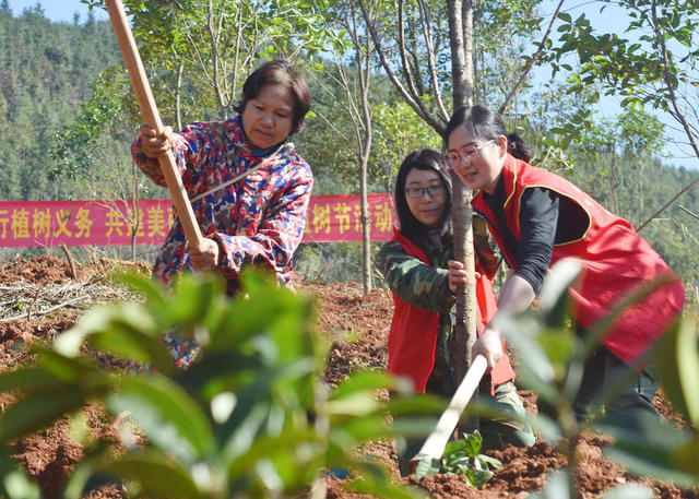 湖南嘉禾：义务植树添新绿