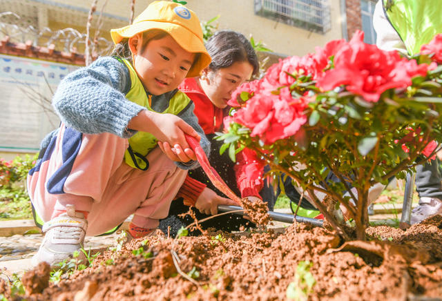植树节
幼儿园
道县