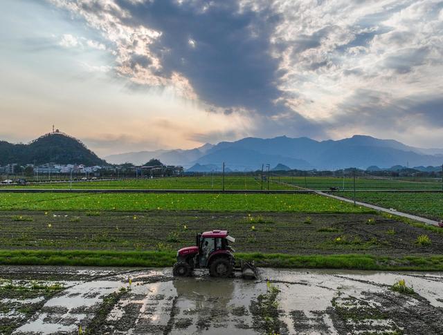 春耕
春天
早稻
农事
道县