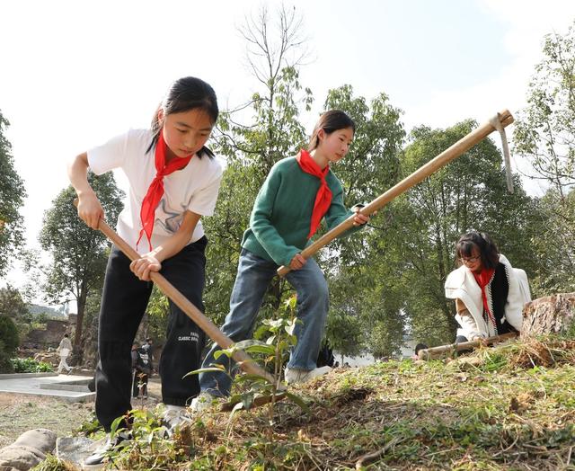 三月春光好   植树正当时