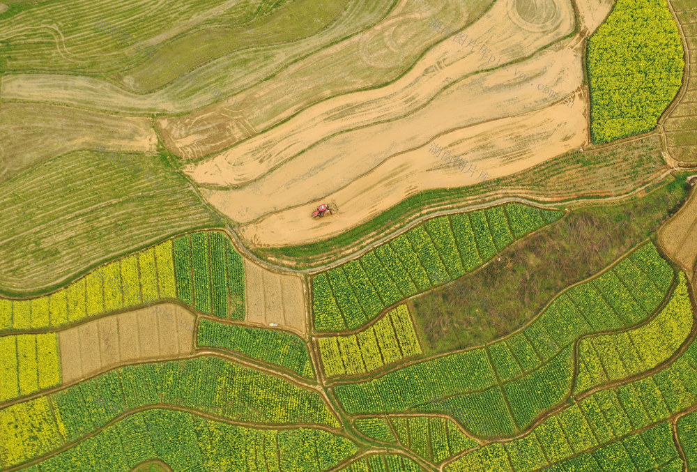 春耕 农事  衡东