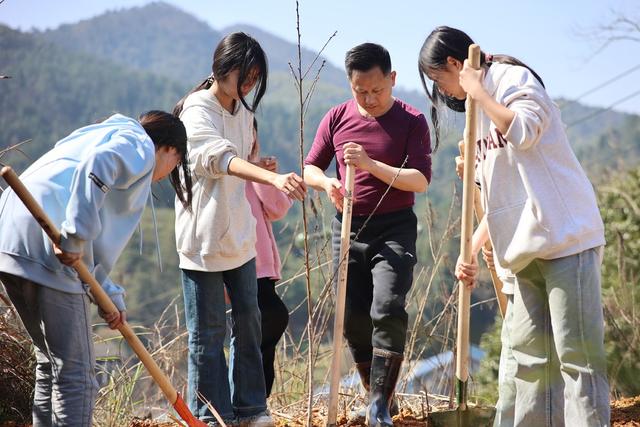 植树节、廉洁共建、社会治理、清廉、校园