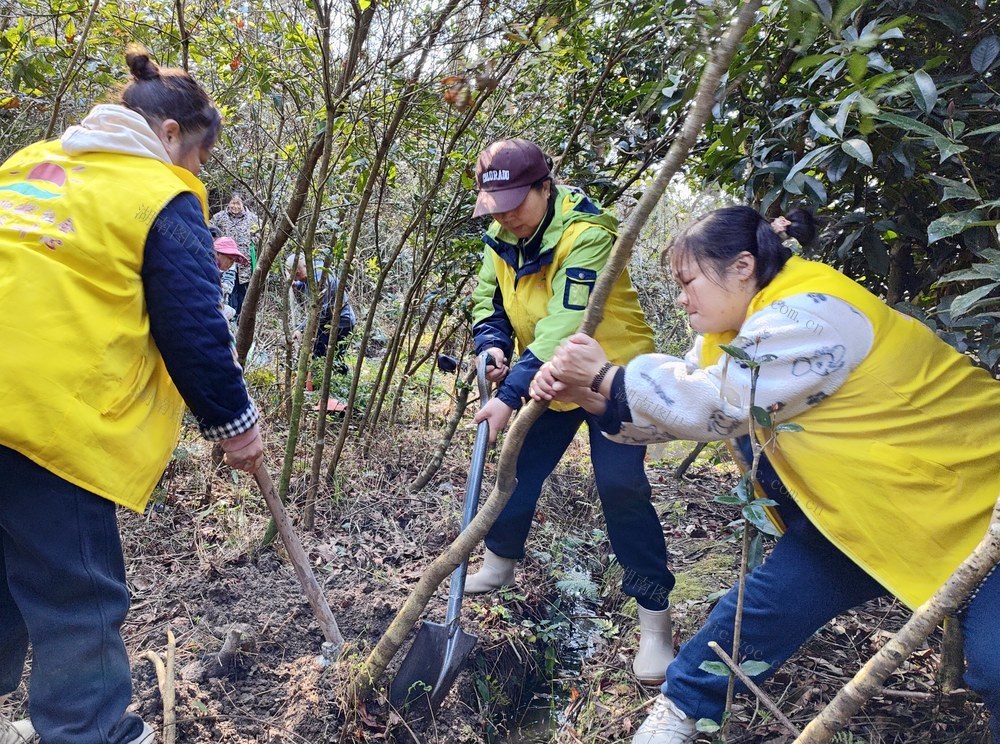 志愿服务添新绿
