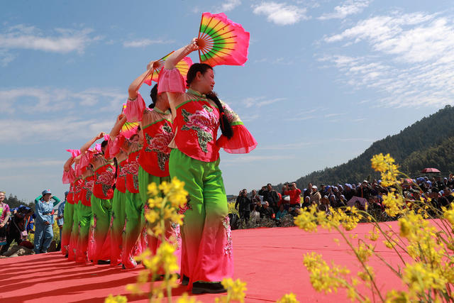 乡村 油菜花 文化节 旅游发展 民俗展演 游客 农业 
