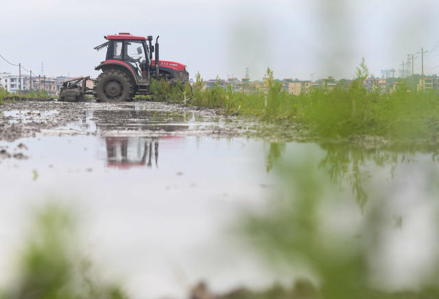 春分
节气
春耕
农事
道县