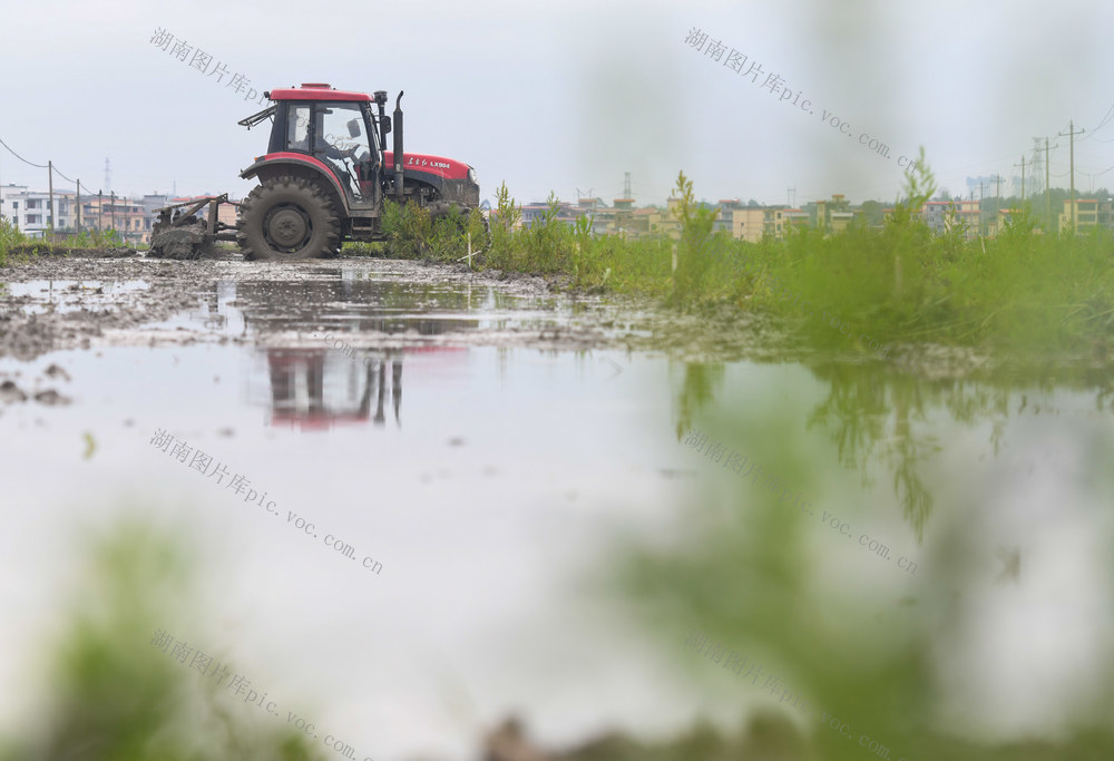 春分
节气
春耕
农事
道县