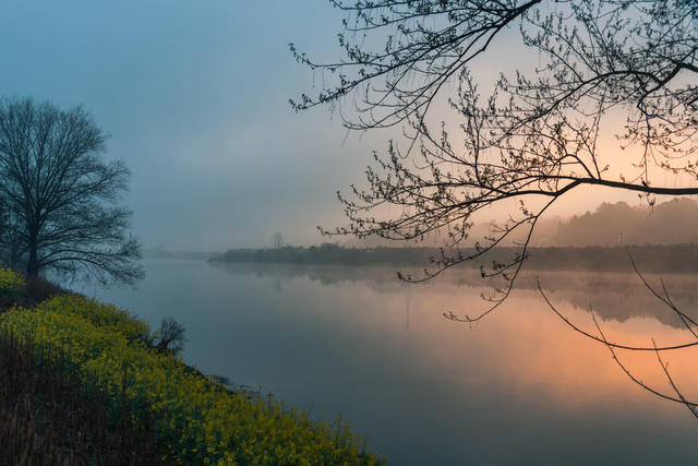 风景  浏阳河  油菜花  花海  晨雾  风景  宁静