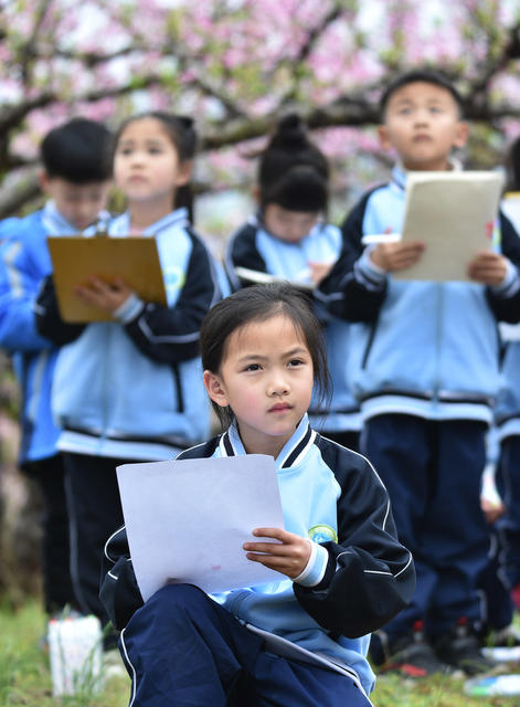 嘉禾：亲近自然 绘画春天