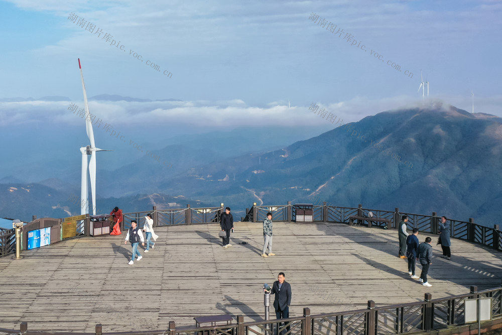 风景 旅游 游玩 春景 景区